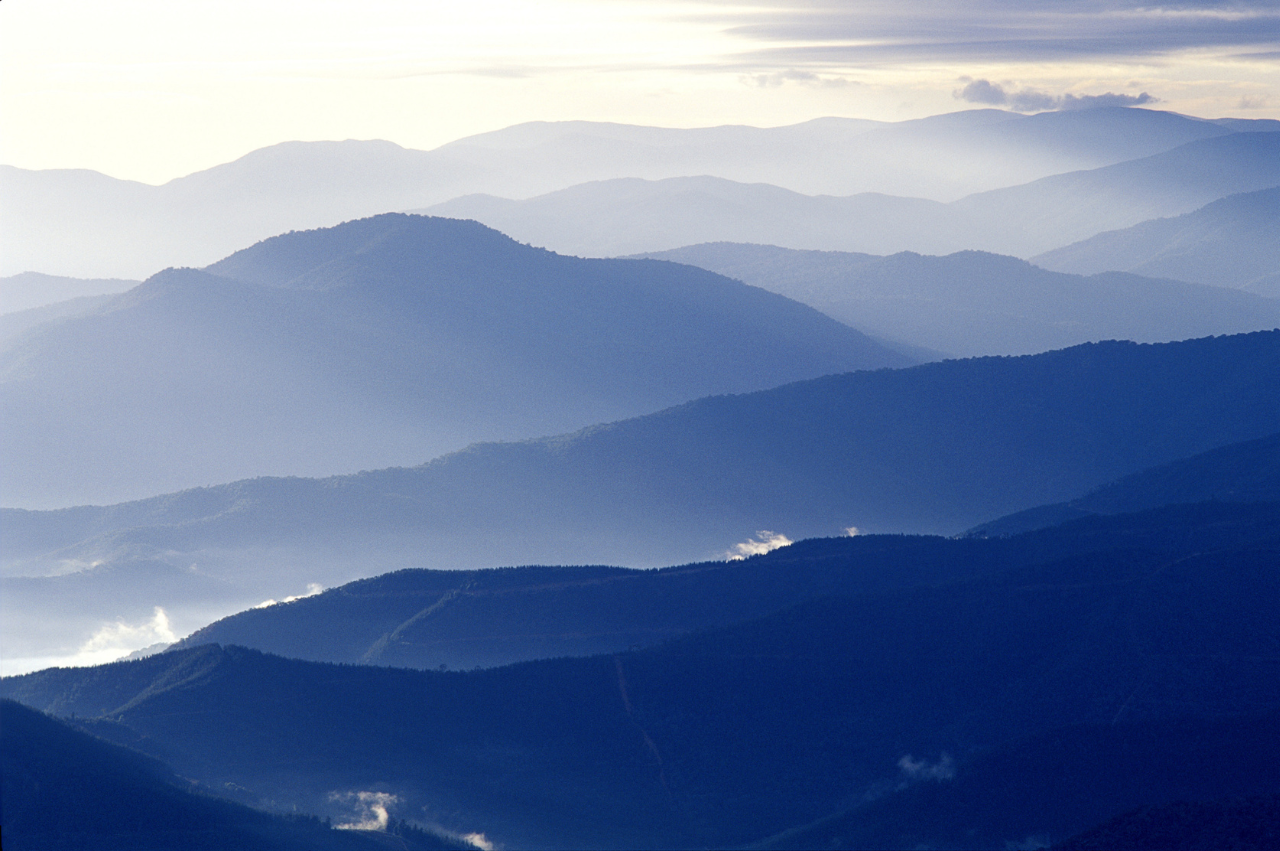 Everything You Need to Know About Anesthesia and Sedation During Egg